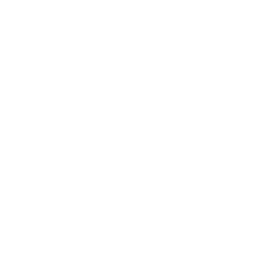 Coaches and facilitators icon