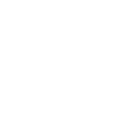 Facilitation services