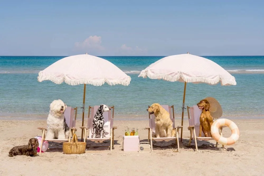 The Ultimate Social Media Marketing Guide for Travel Agents