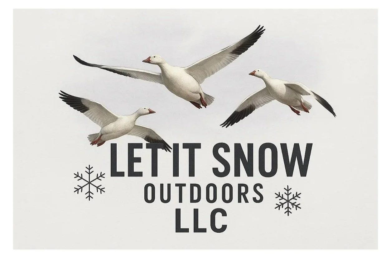 Let It Snow Outdoors 