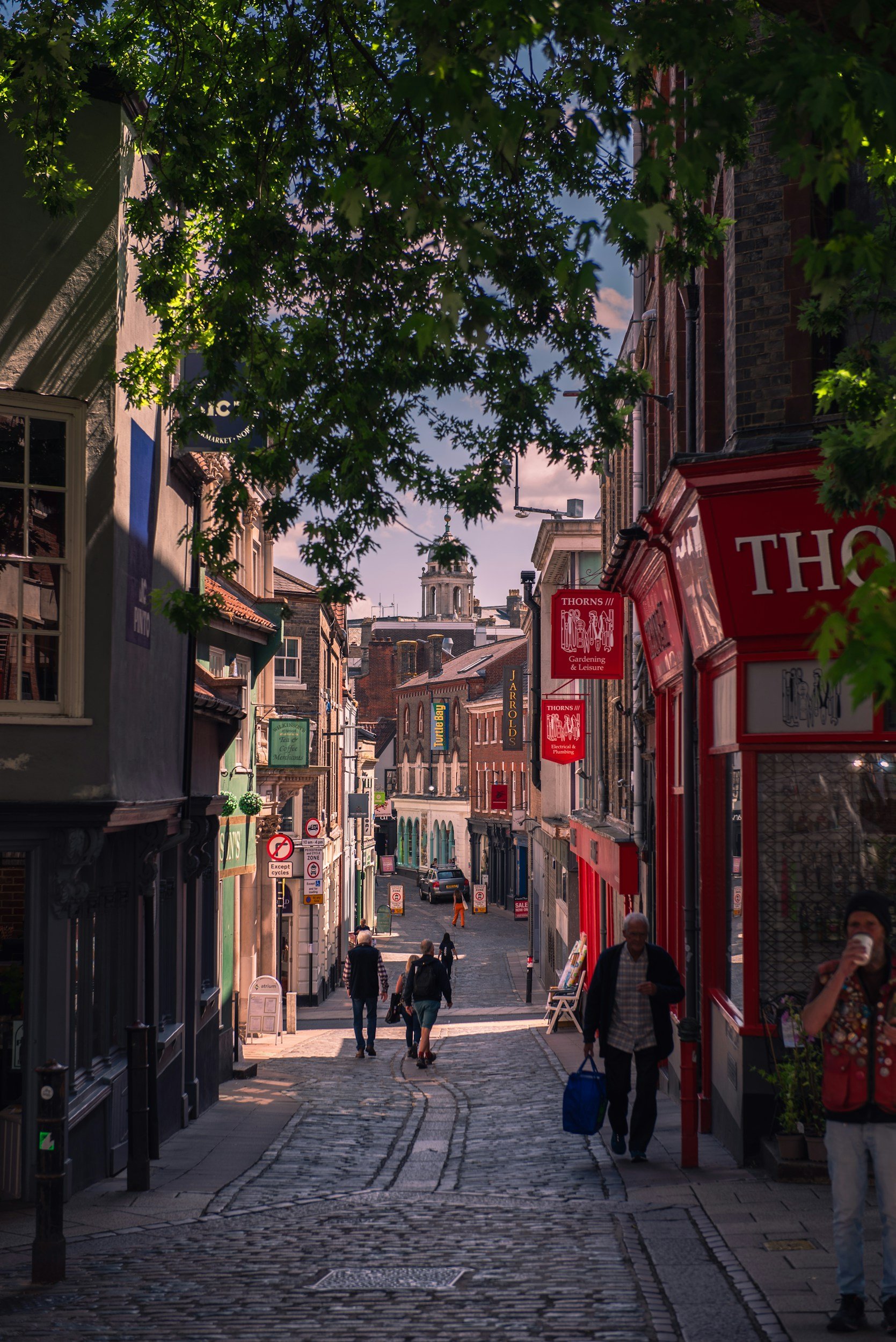 City street scene with cobblestone pavement, lined with shops and people walking, trees overhead, and historic buildings in the background.