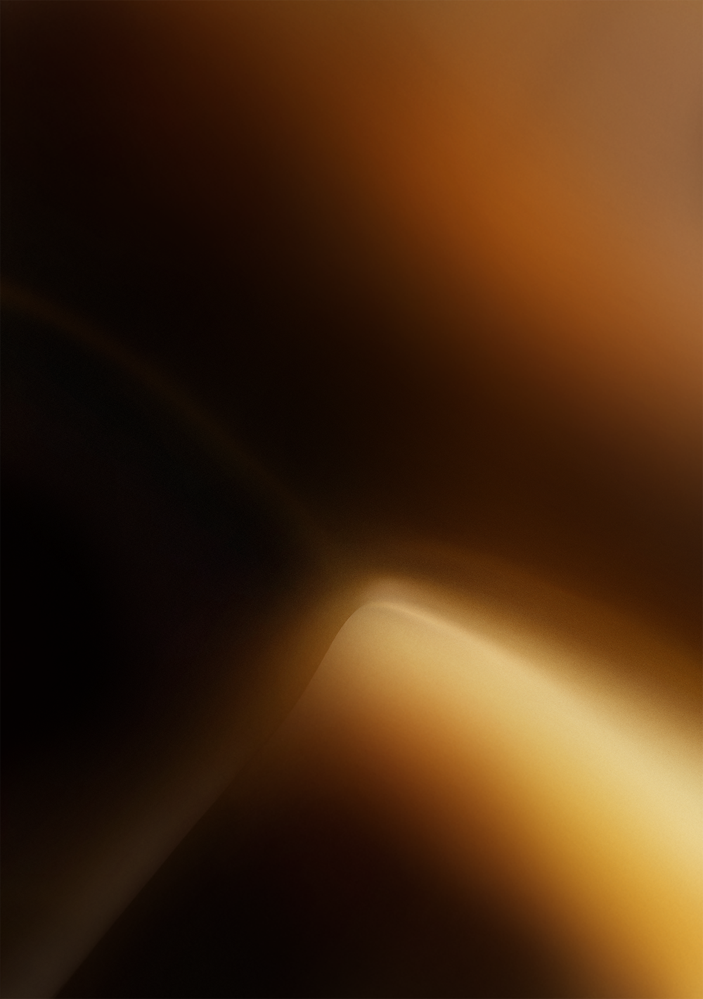 image+06 (1).webp