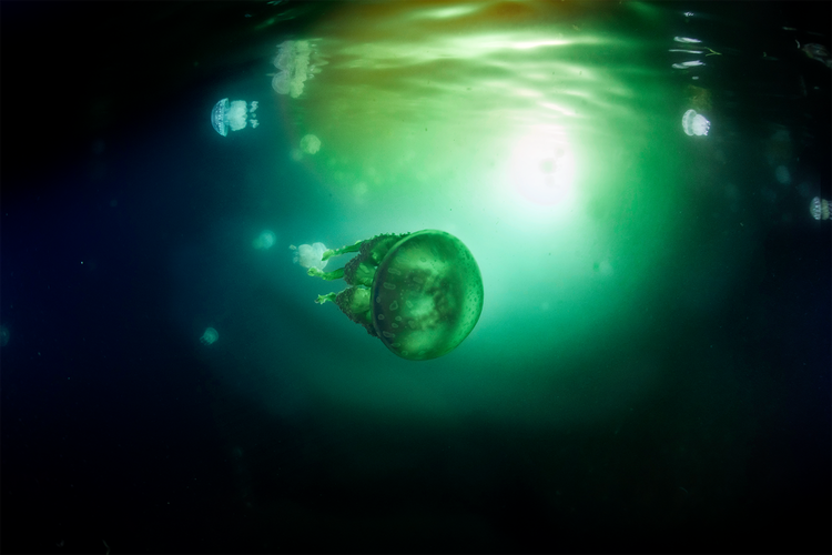 image+10 (1).webp