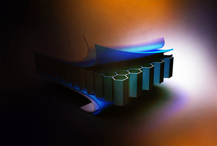 image+01 (1).webp