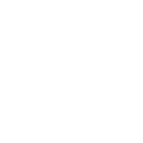 logo Visagio.png