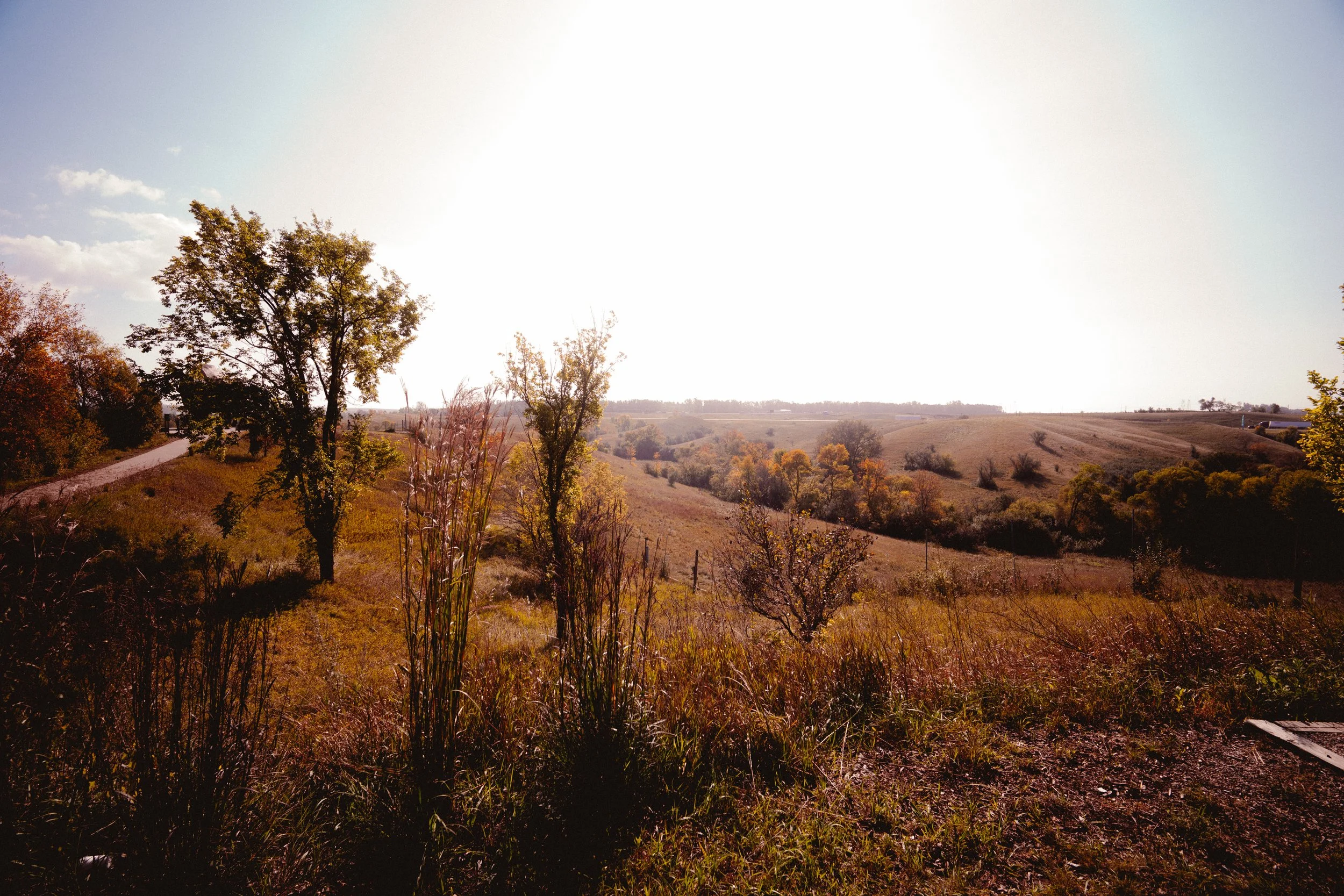 39 9-26-25 reduced.jpg