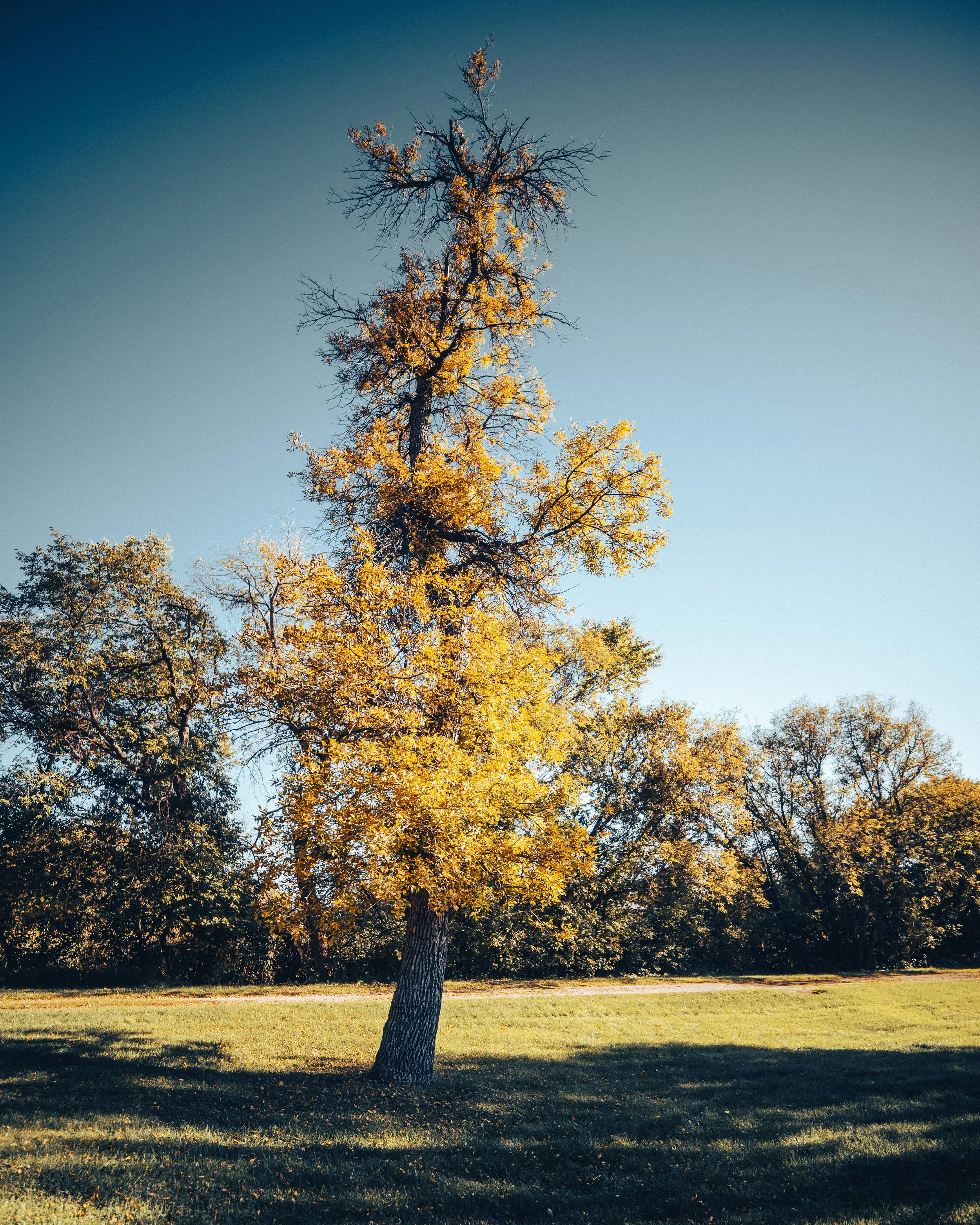 41 8-28-25 reduced.jpeg