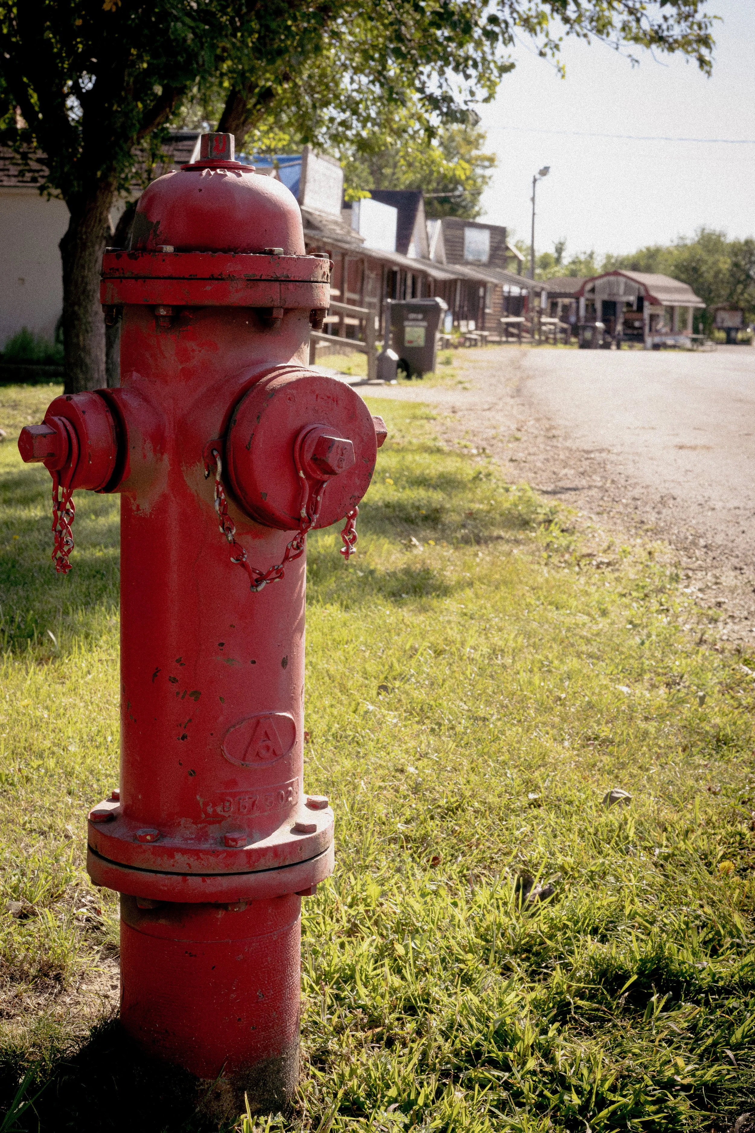 12 8-30-25 reduced.jpg