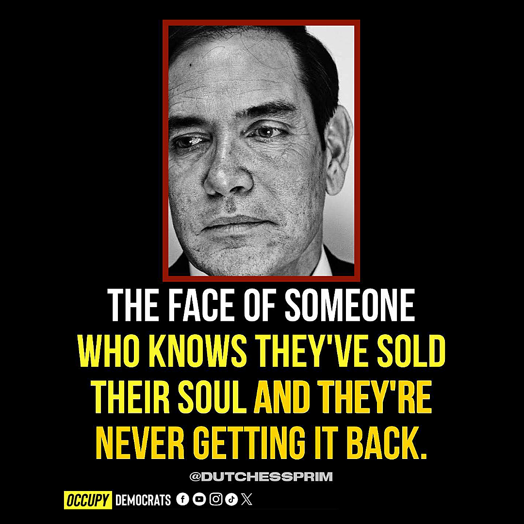 Senate and Congress fired (1) (18).png