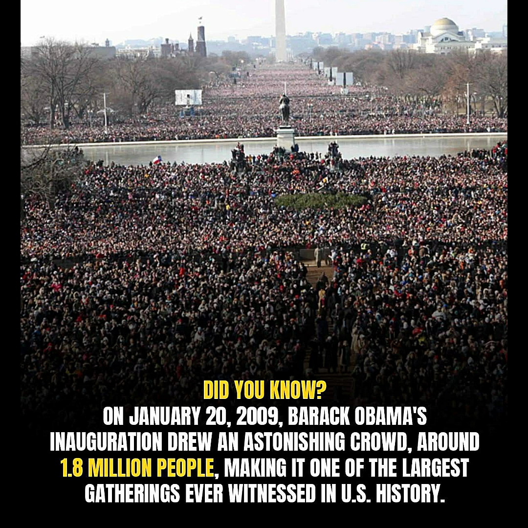 Senate and Congress fired (1) (16).png