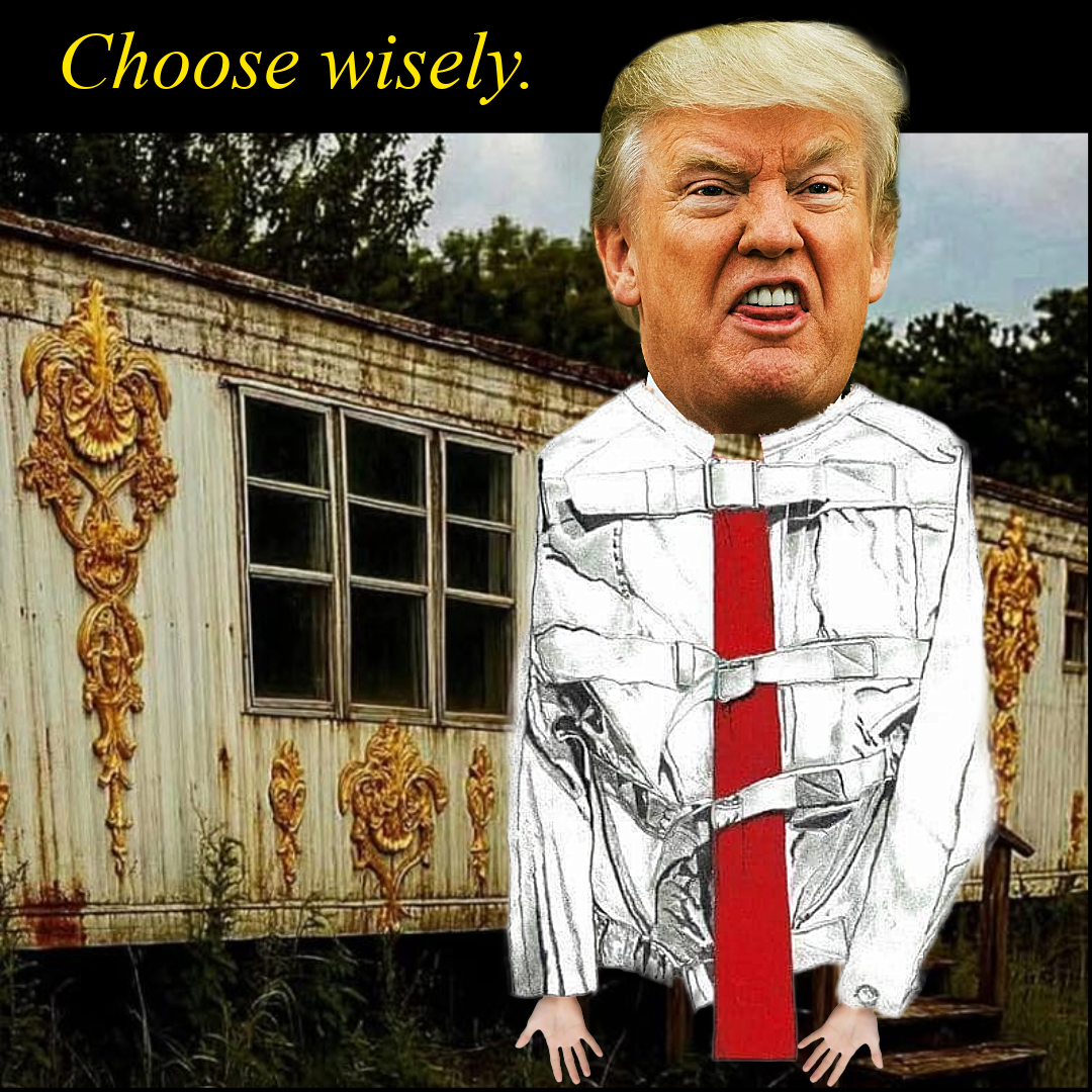 Senate and Congress fired (1) (3).png