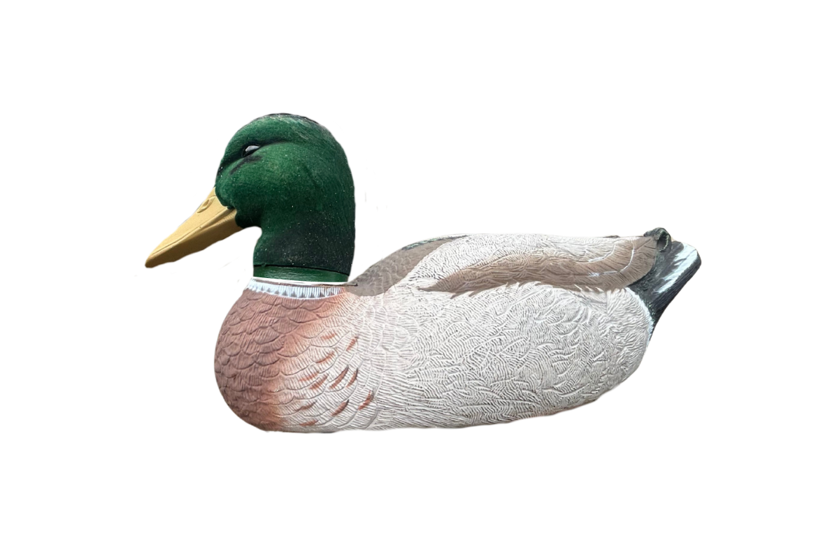 Higdon-2.png