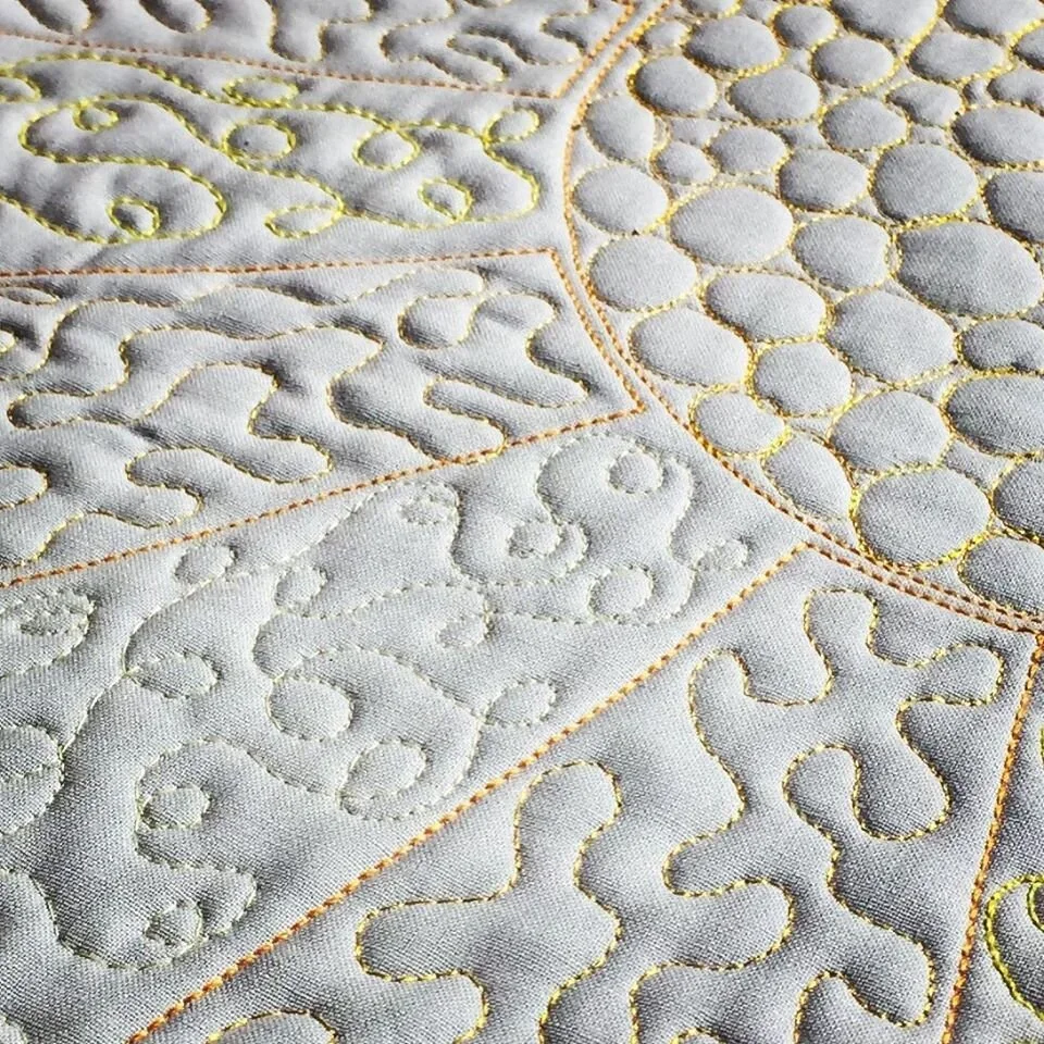 Free Motion Quilting Class