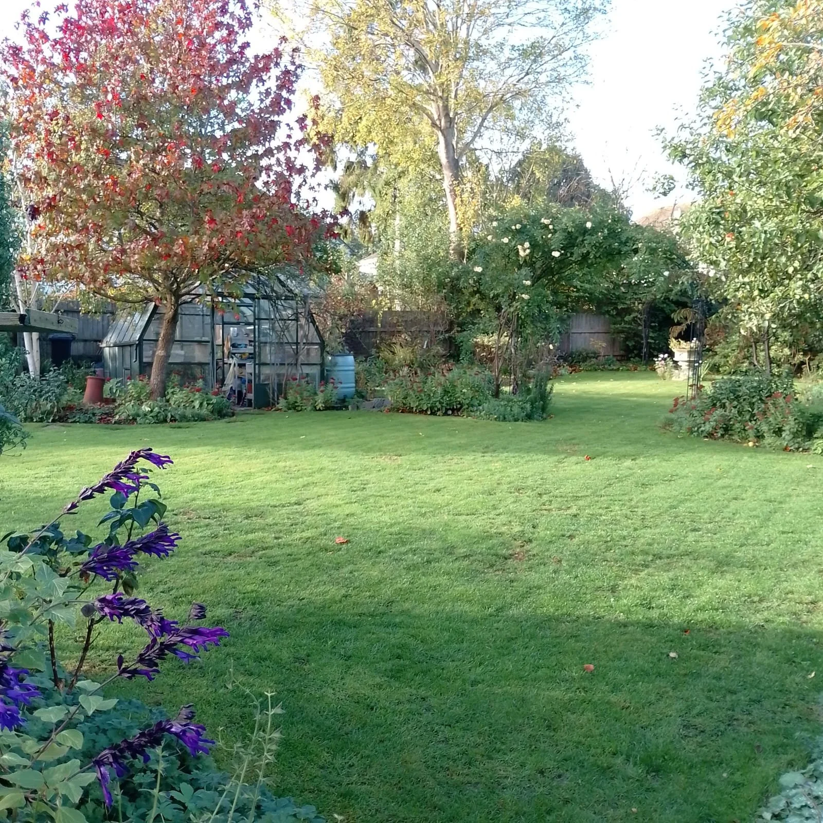 WhatsApp Image 2025-11-12 at 08.59.25.jpeg