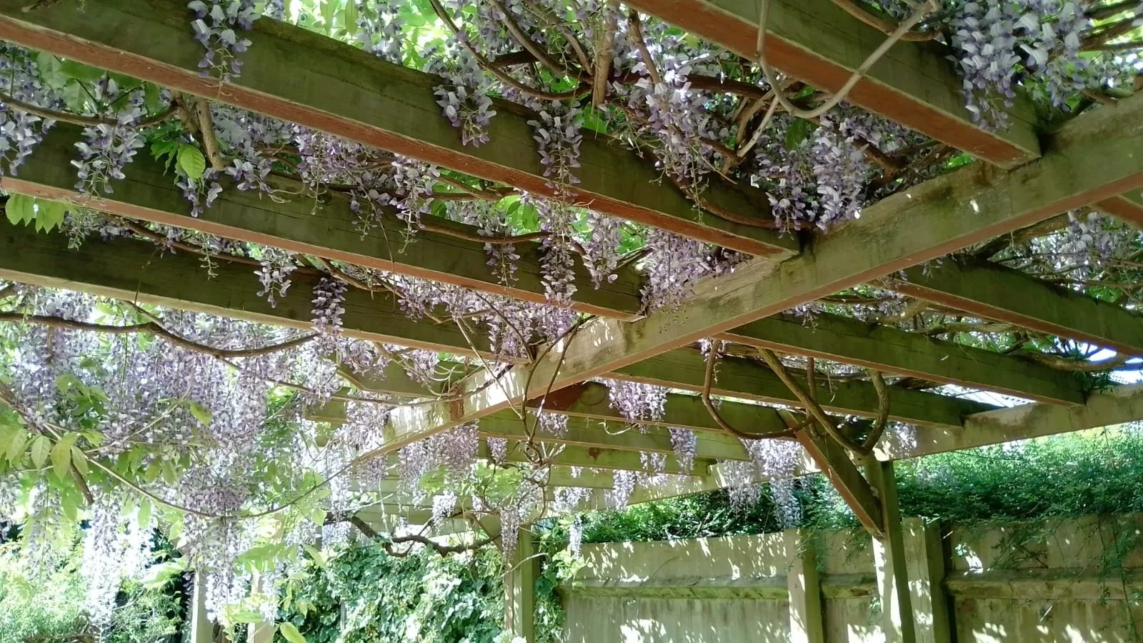 WhatsApp Image 2025-07-27 at 12.39.32 (3).jpeg