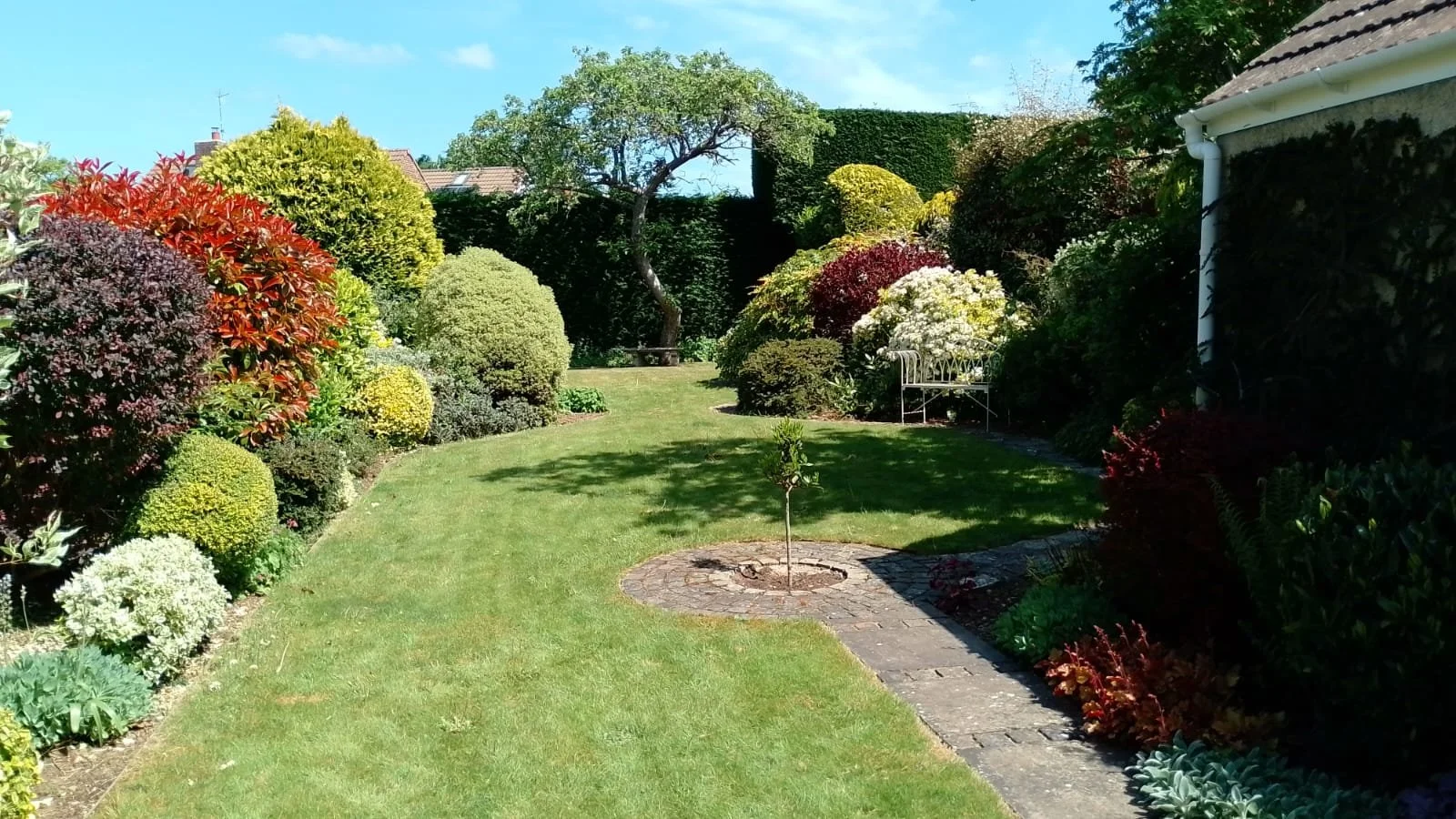 WhatsApp Image 2025-07-27 at 12.44.24.jpeg