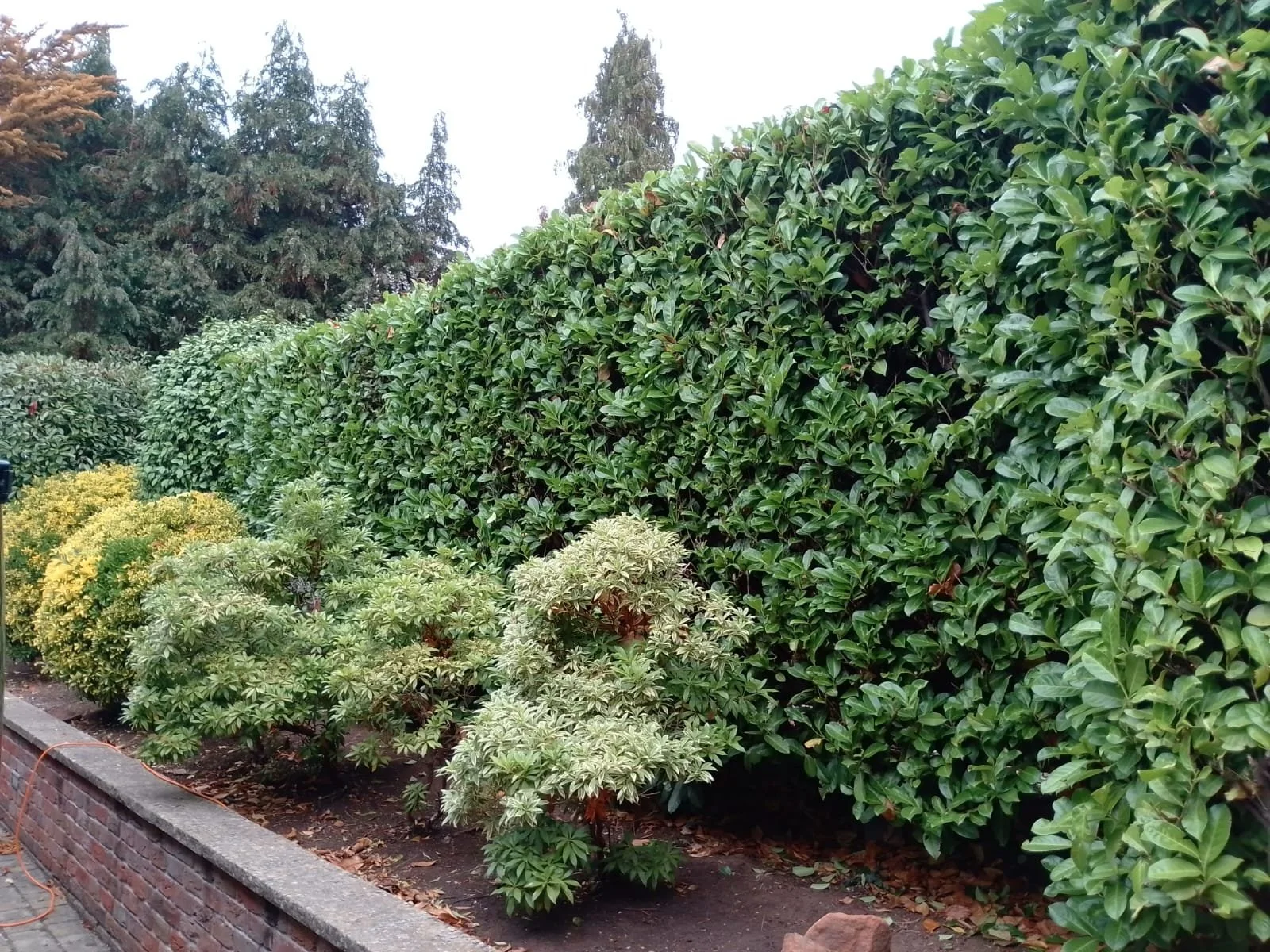 WhatsApp Image 2025-11-12 at 09.09.48.jpeg