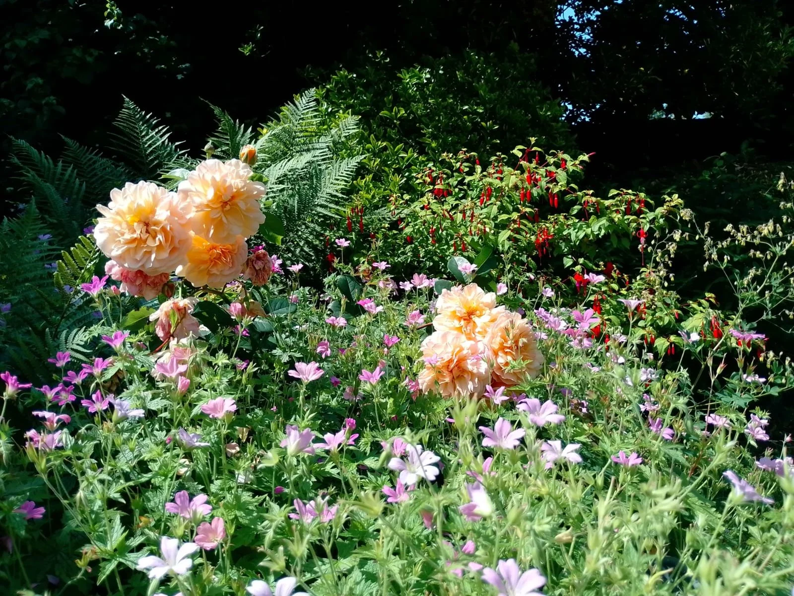 WhatsApp Image 2025-07-27 at 12.39.32 (1).jpeg