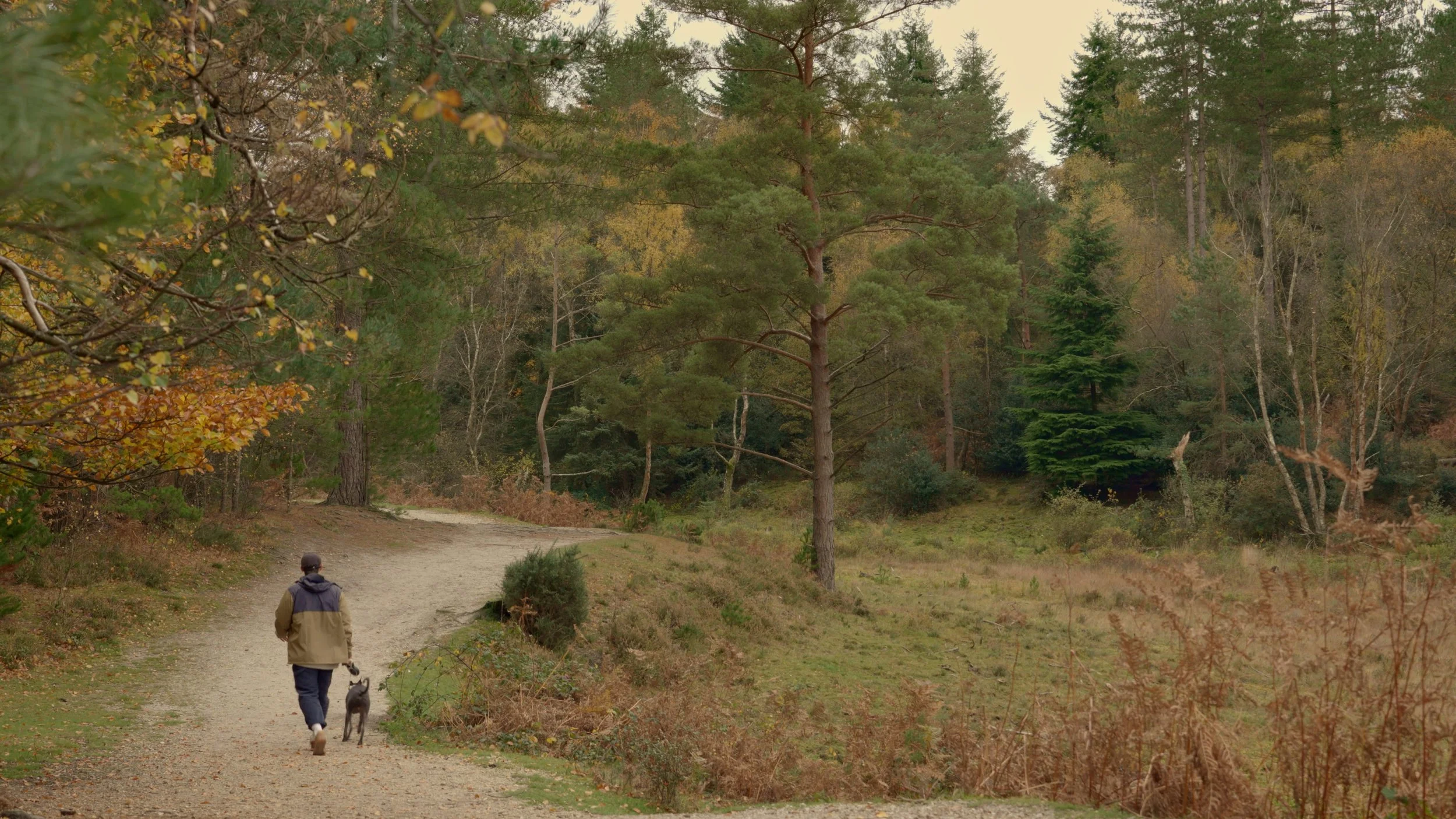 A person walking a dog on a dirt trail in a wooded area during autumn.