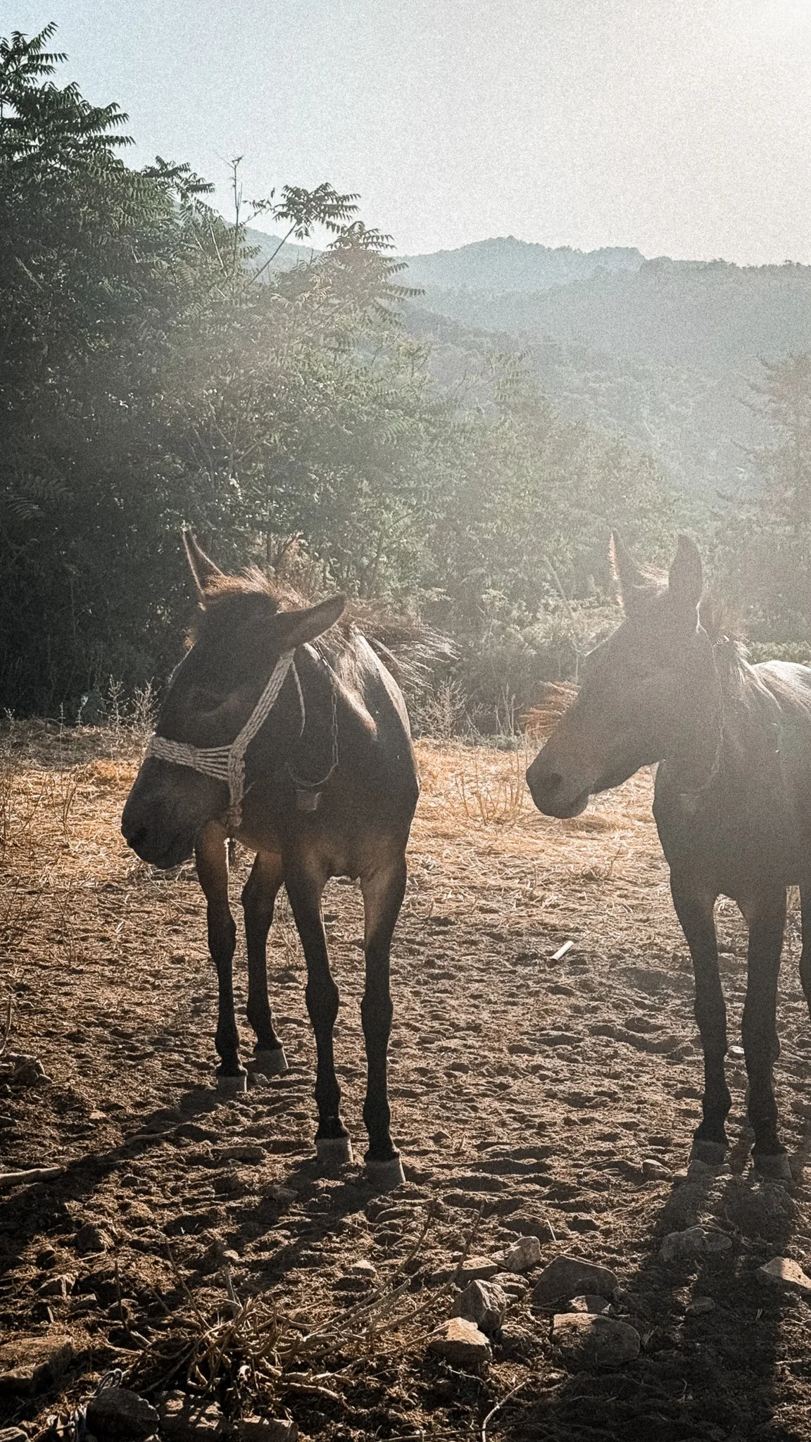 Gallery Image 15.jpg