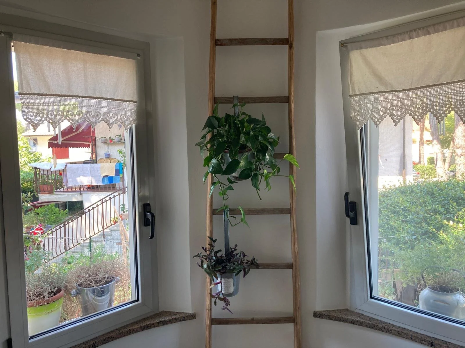 Interno di una stanza con due finestre e piante in vaso, una al centro e una sul davanzale.