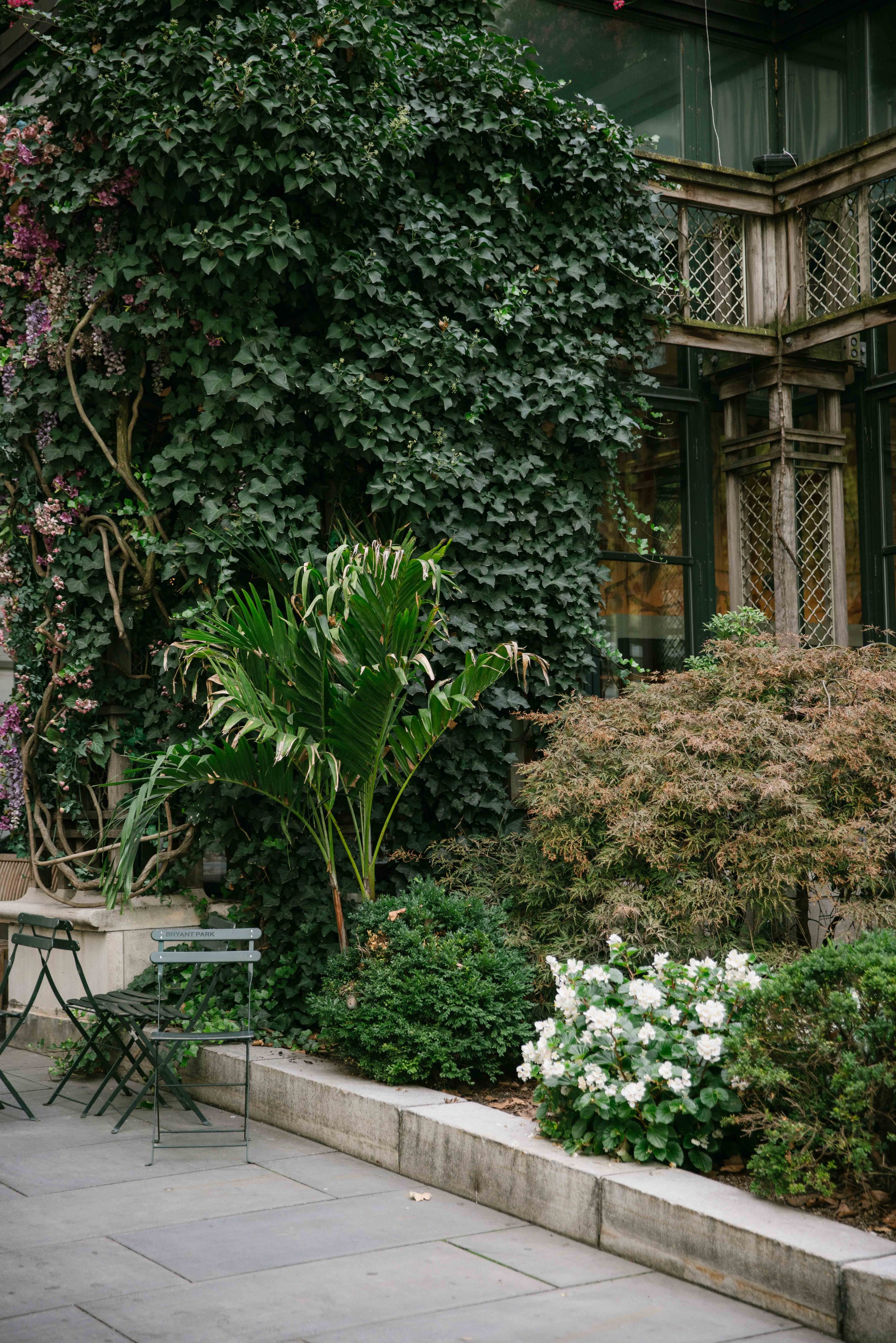 A lush outdoor garden with green foliage and flowering plants, surrounded by a paved patio area with black metal chairs and a small table.
