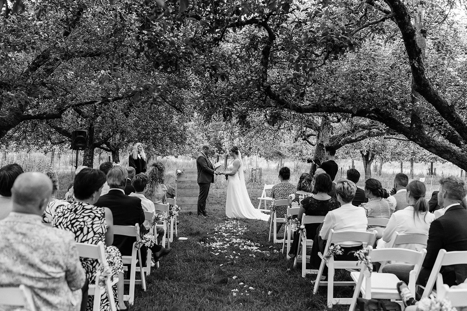 A black and white photo of an outdoor wedding ceremony under large trees, with the bride and groom holding hands and exchanging vows while a woman officiates. Guests are seated on either side of a flower petal-strewn aisle, watching the couple.