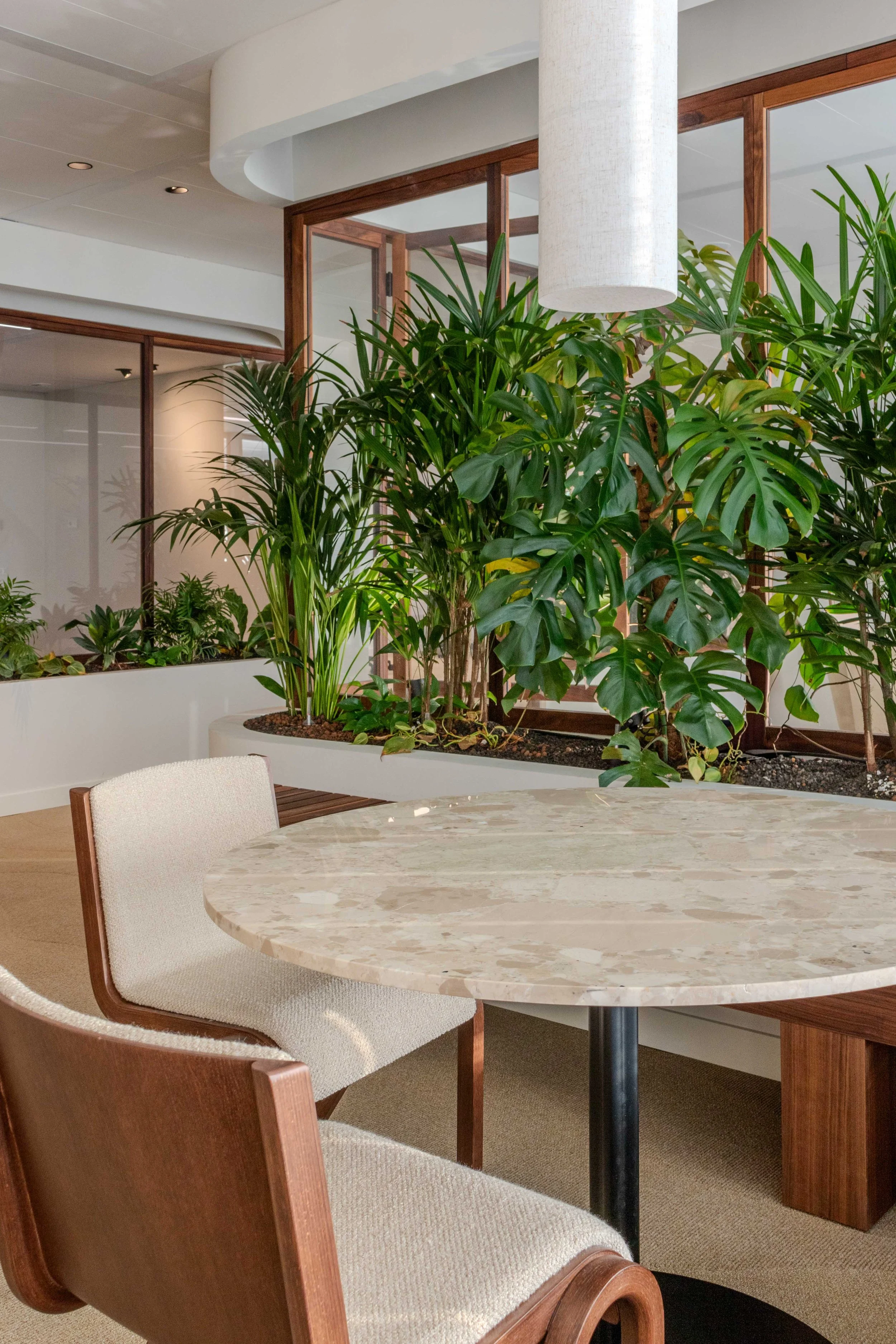 Amco extra lowres-3.jpg