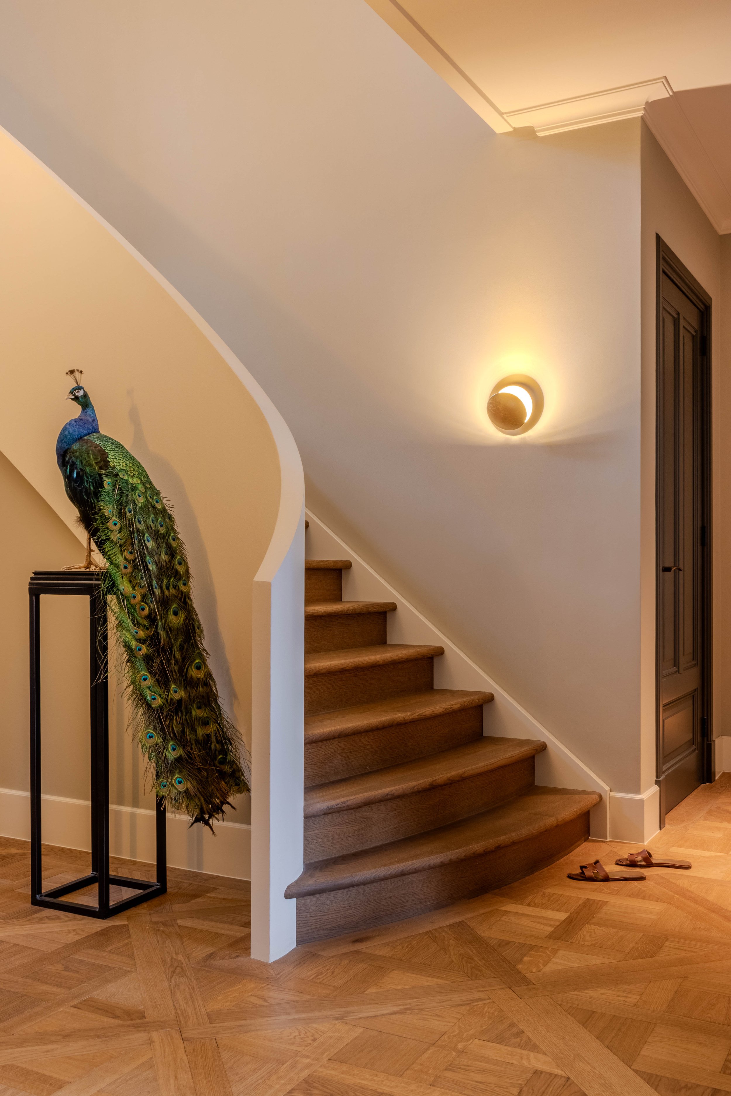 surrounded by the forest-26.jpg