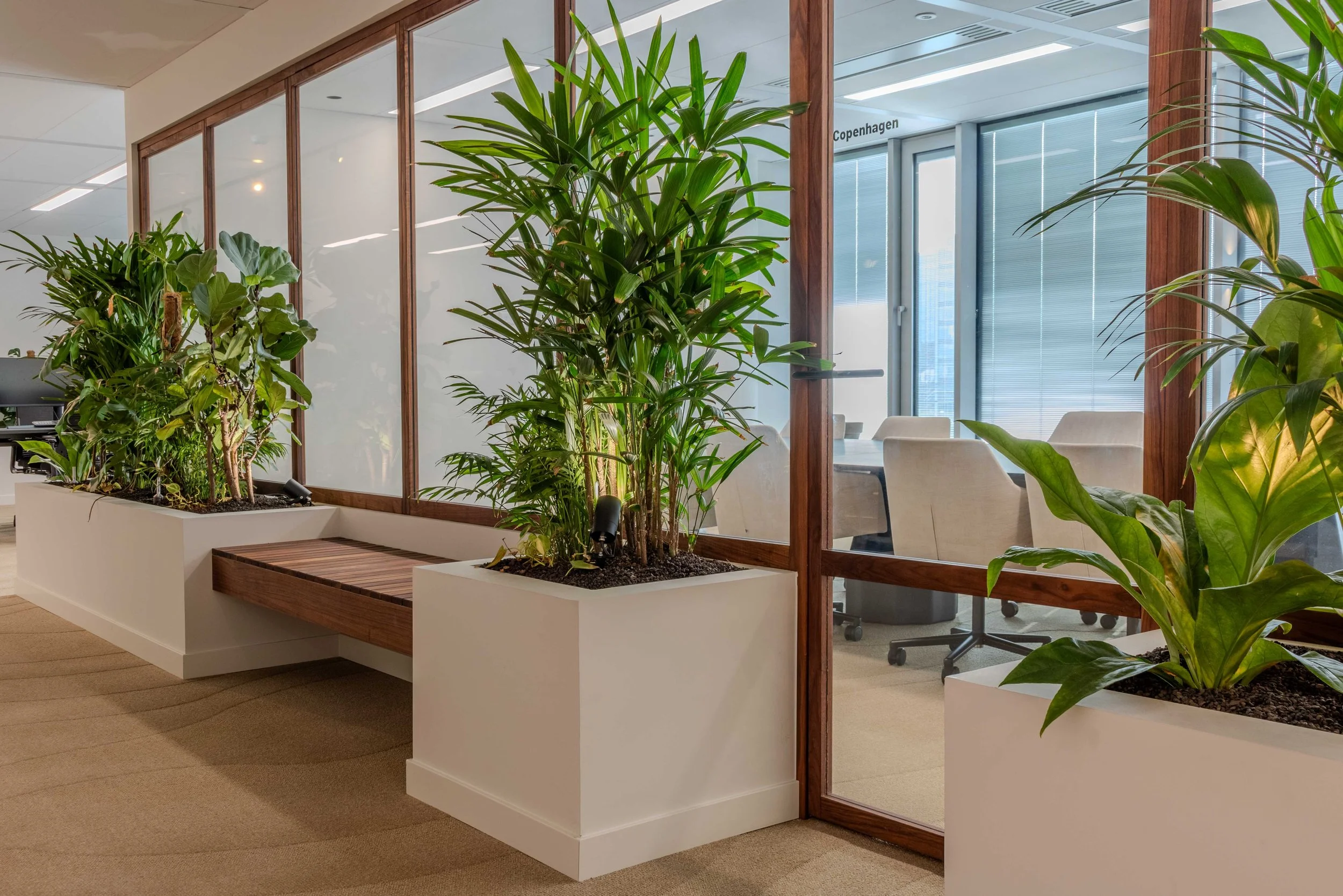 Amco extra lowres-10.jpg