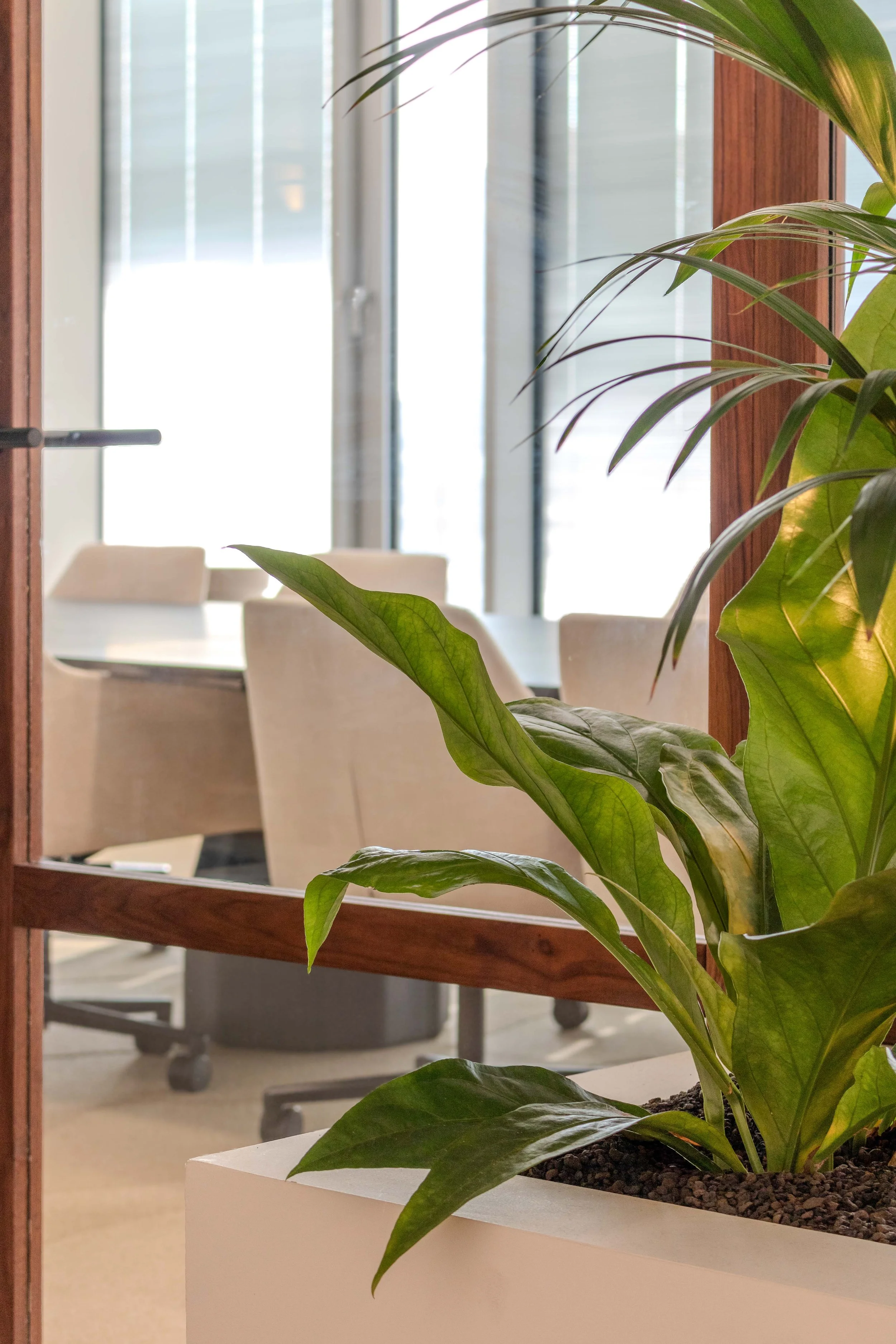 Amco extra lowres-11.jpg