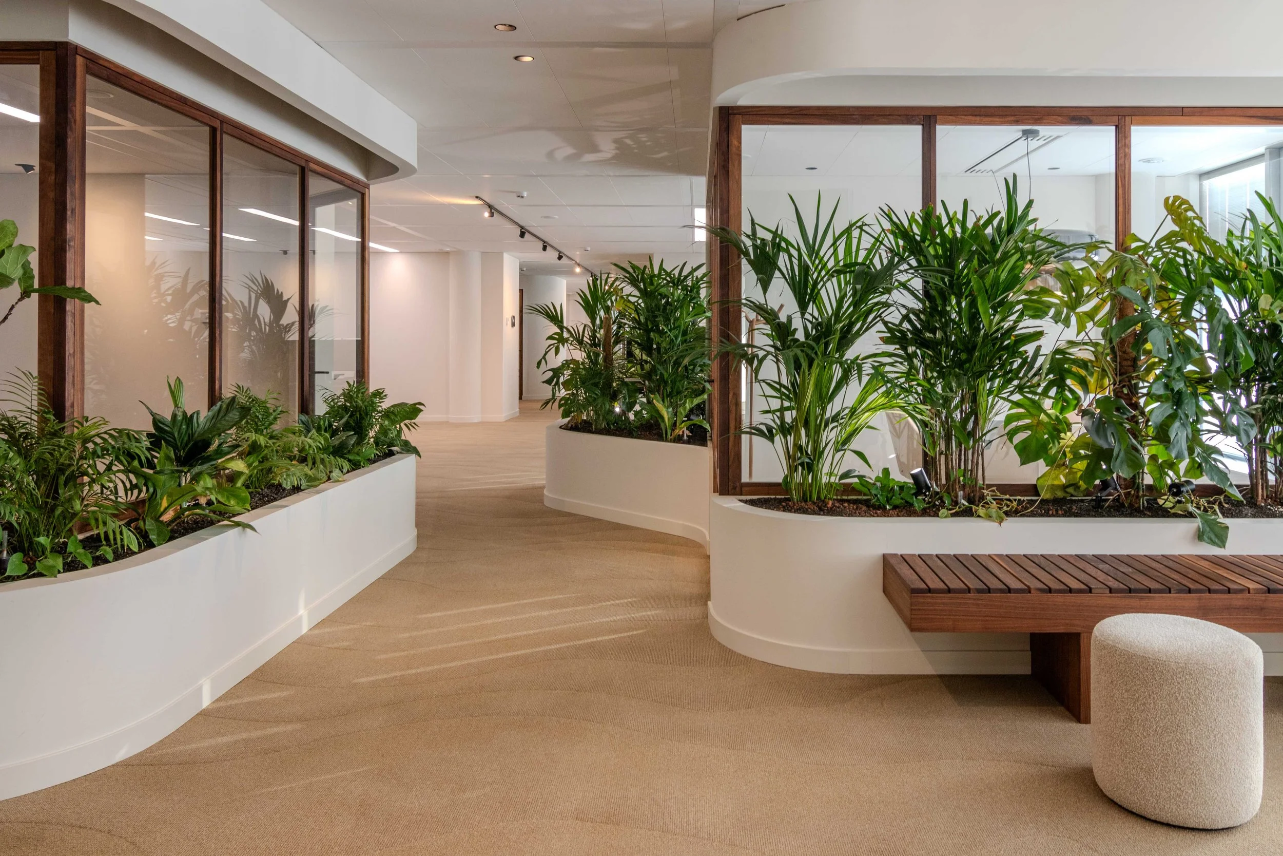 Amco extra lowres-6.jpg