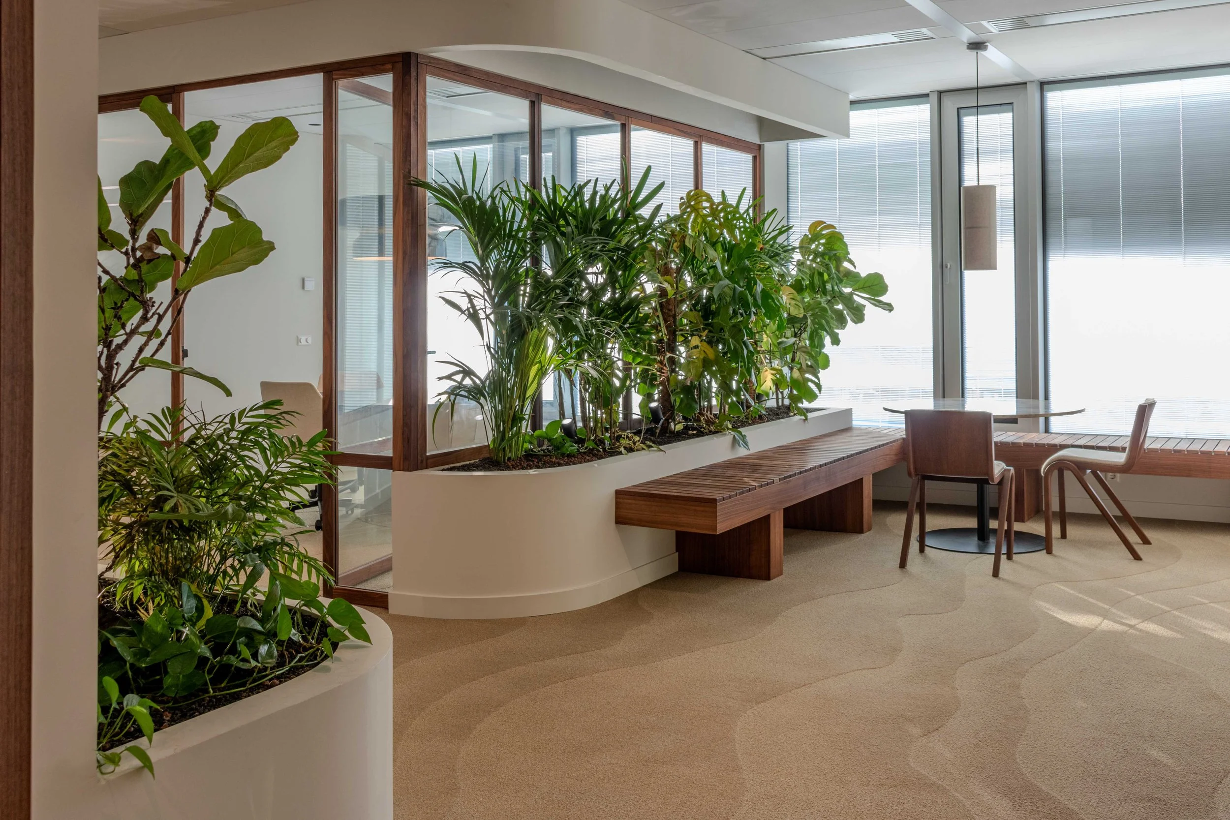 Amco extra lowres-2.jpg