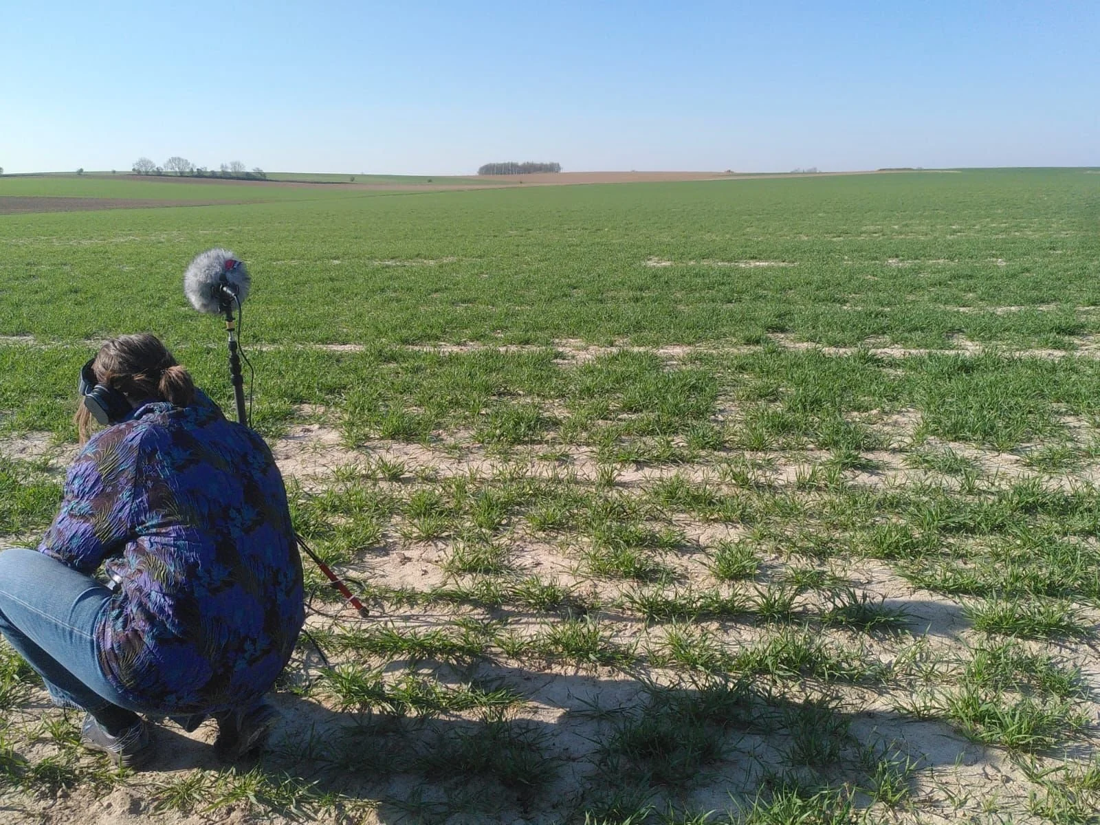 Person crouching in a grassy field with recording equipment, listening or capturing sound, under a clear blue sky.
