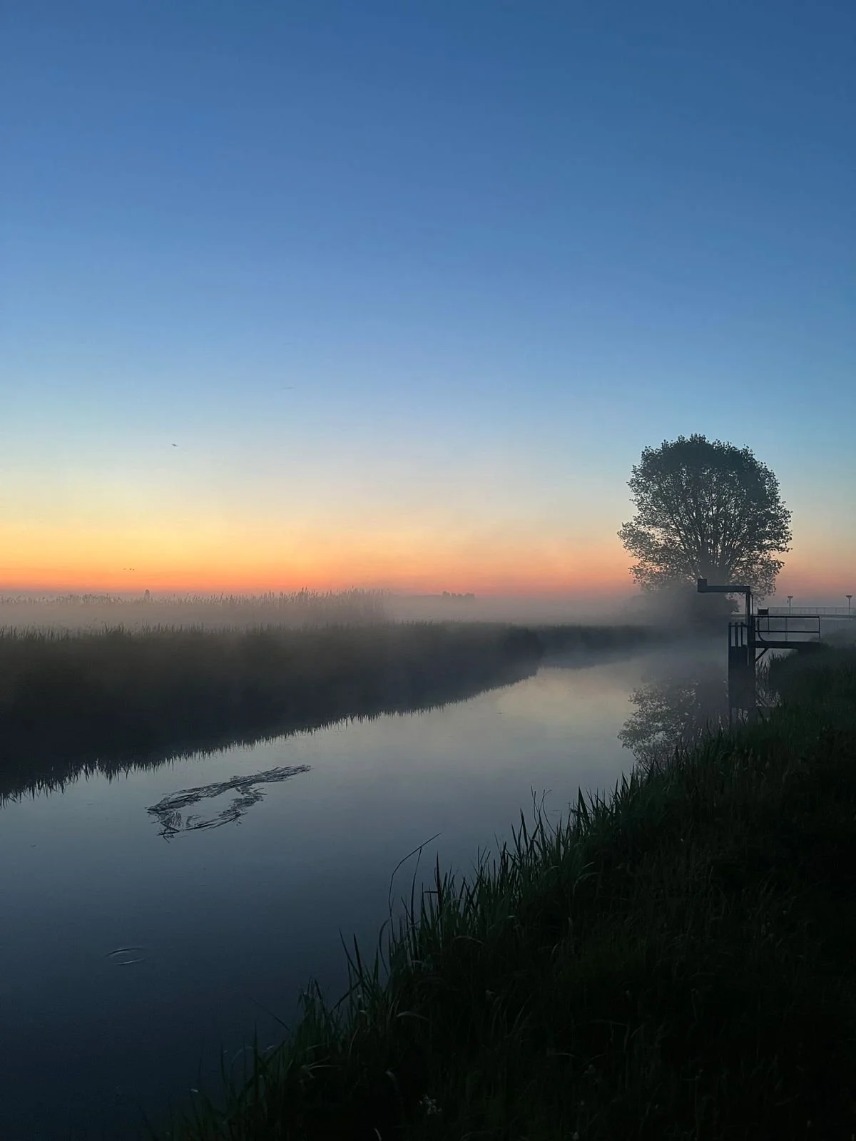A peaceful sunset over a calm river with mist rising, a large solitary tree on the right, and a metal structure near the water's edge.