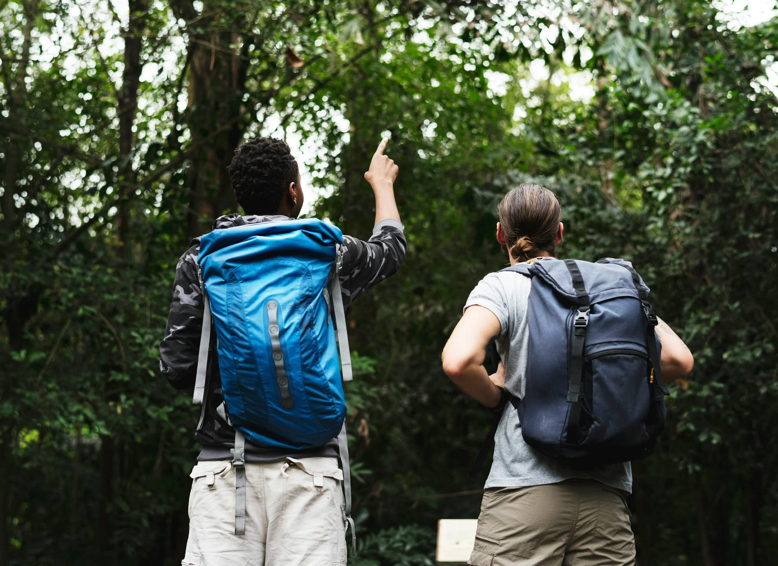 ’Tis the Season for Christmas…Bird Counts!