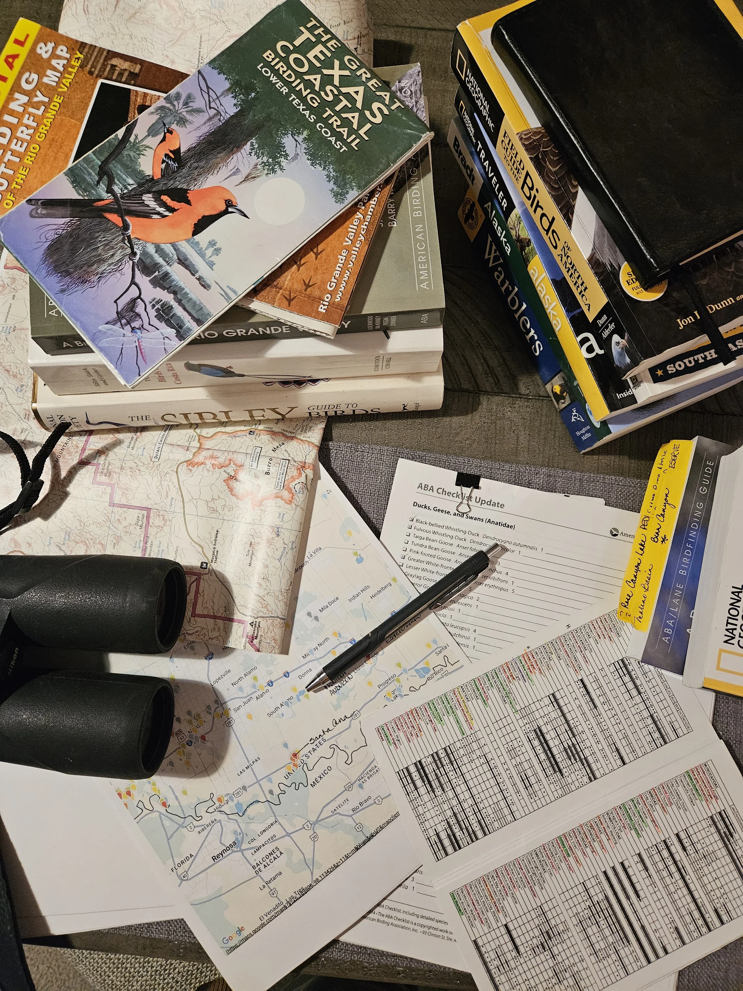 Why January Is a Birder’s Favorite Month