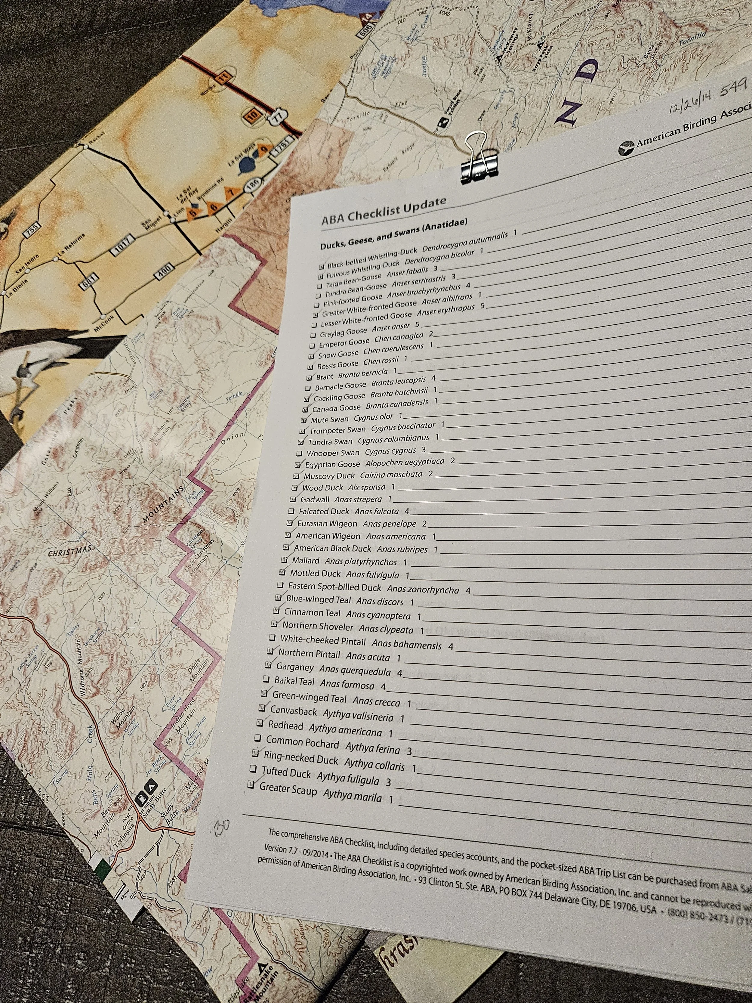 Why Birders Keep Lists