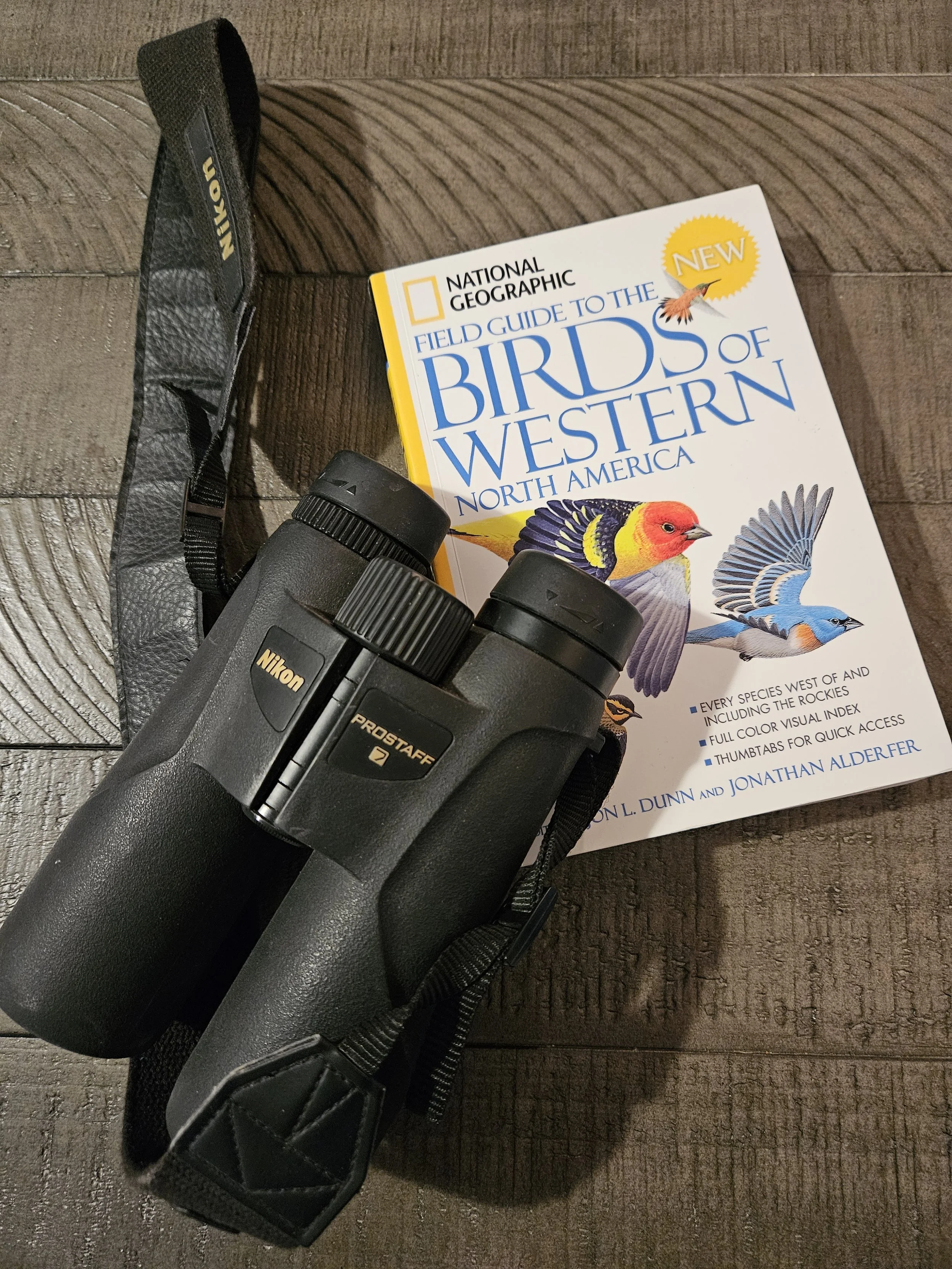 Putting Your 2026 Birding Trip Goals Into Action