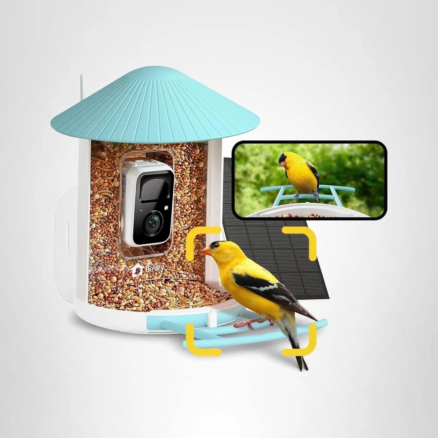 Smart Bird Feeders with Cameras (and Solar)