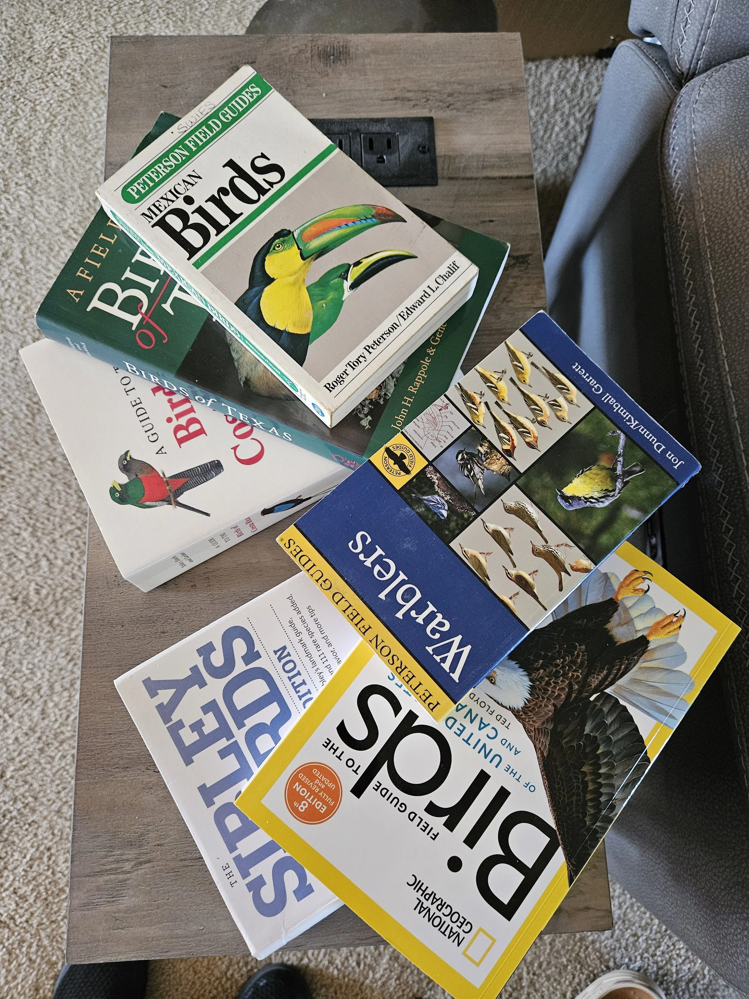 How to Use a Bird Field Guide