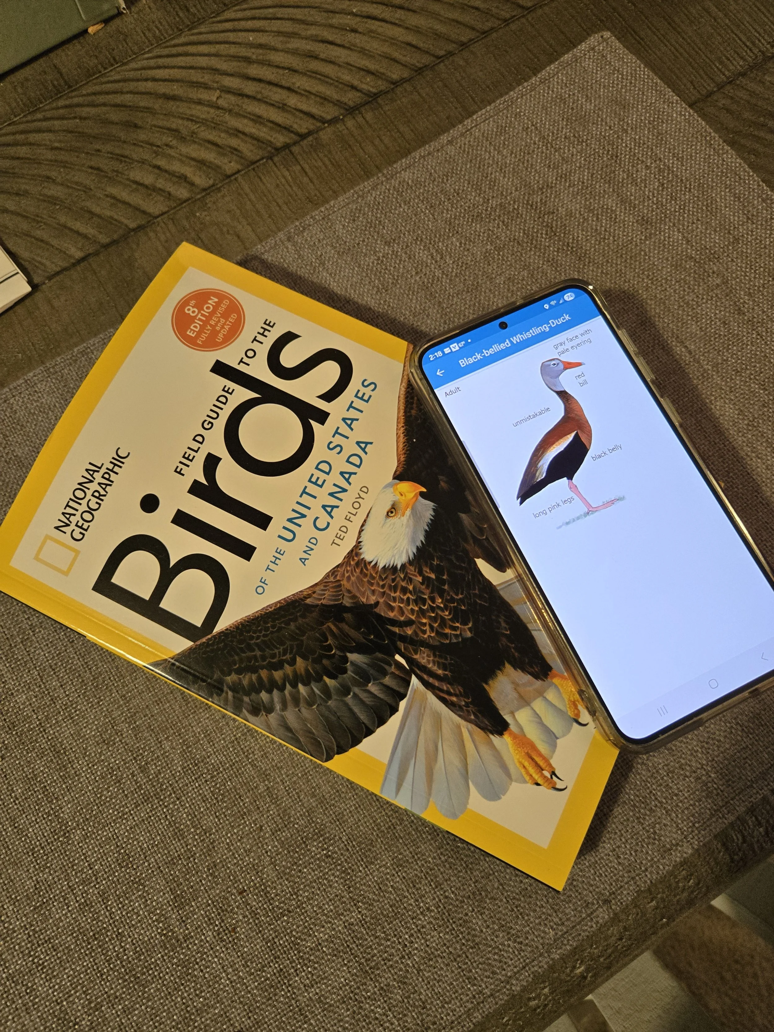 3 Ways to Learn a Bird Field Guide Faster