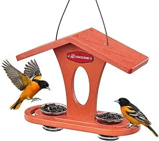 Specialty Foods to Attract Backyard Birds