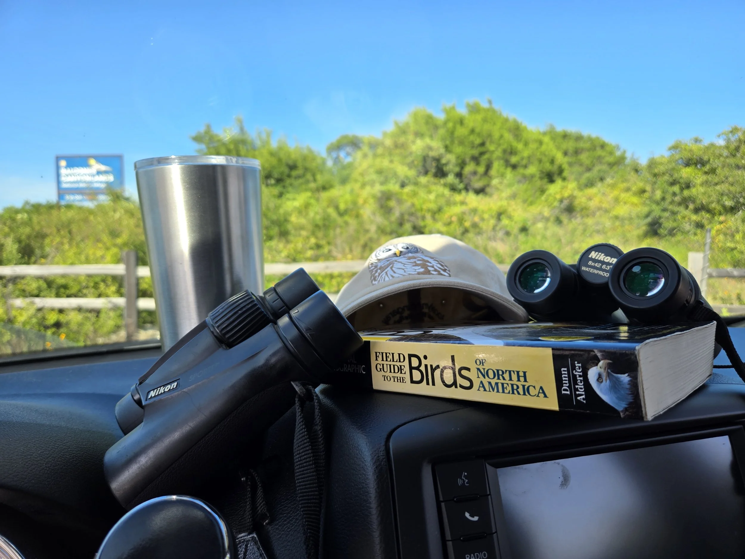 Birding for Beginners 