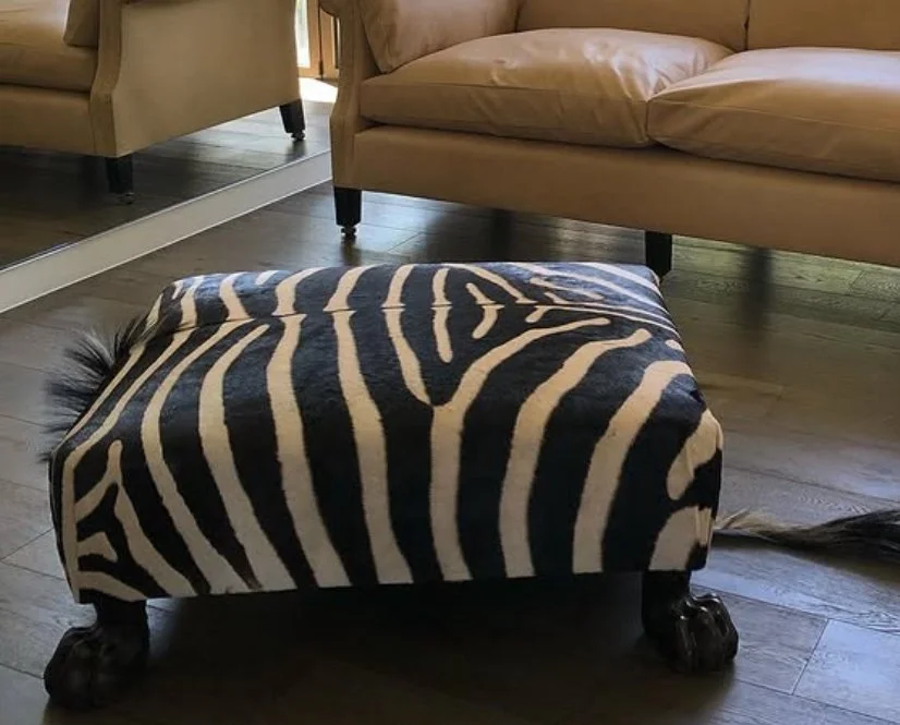 N4 Zebra, 18th century lion paw sold