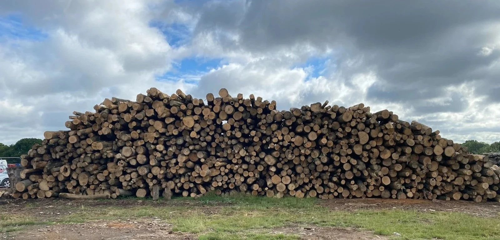 A large pile of cut logs stacked outdoors under a partly cloudy sky.
