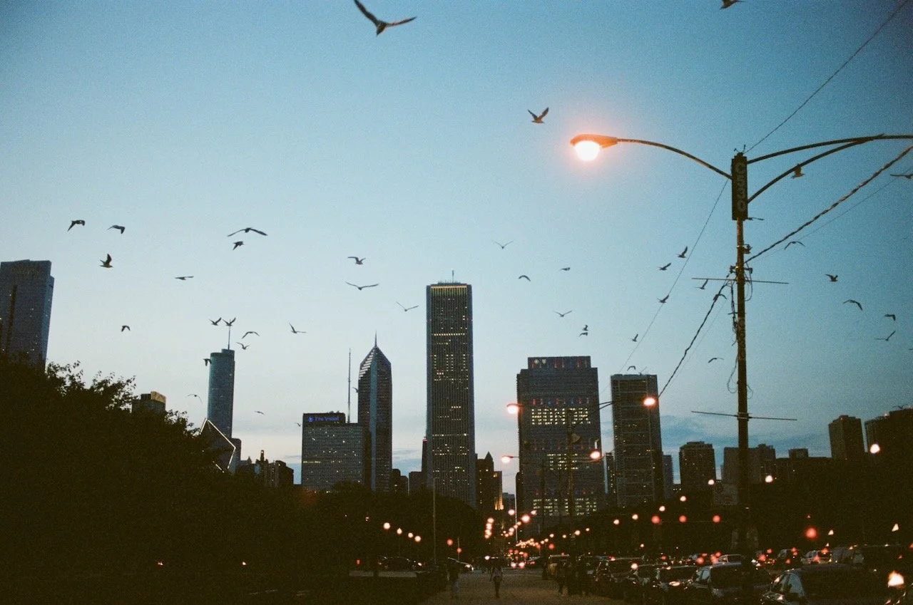 Chicago Night:F3:Portra 400:19.jpeg