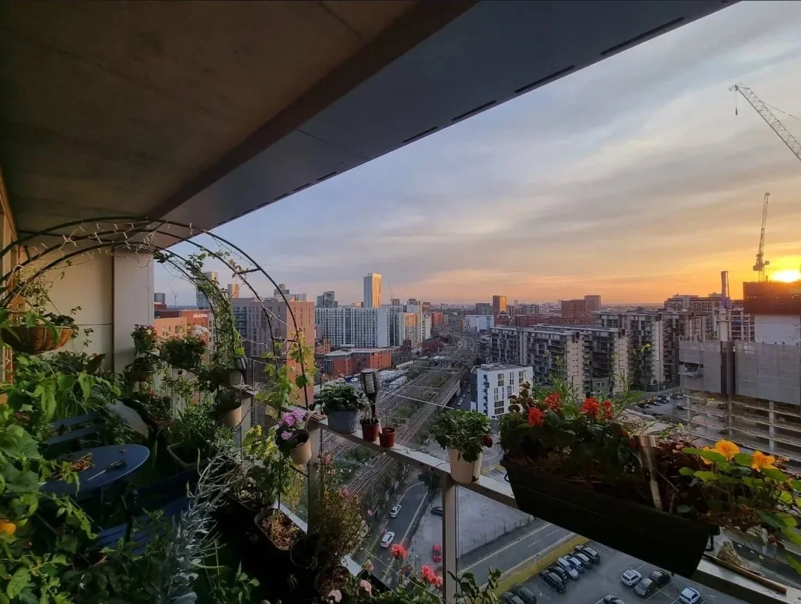 sunset view from the Cloud Gardener's garden balcony