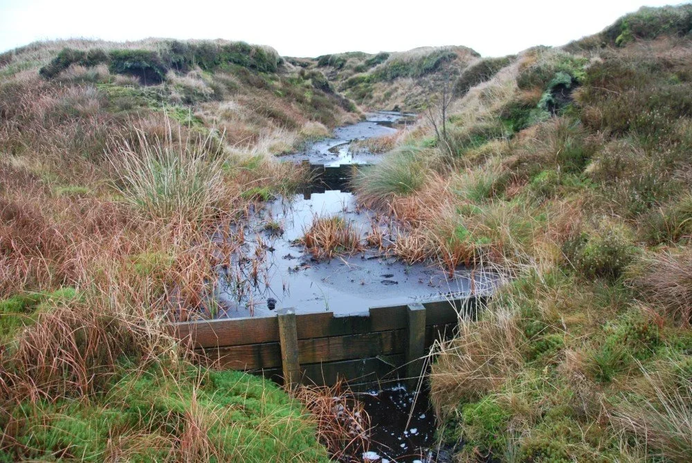 Restoring moorlands and peat bogs