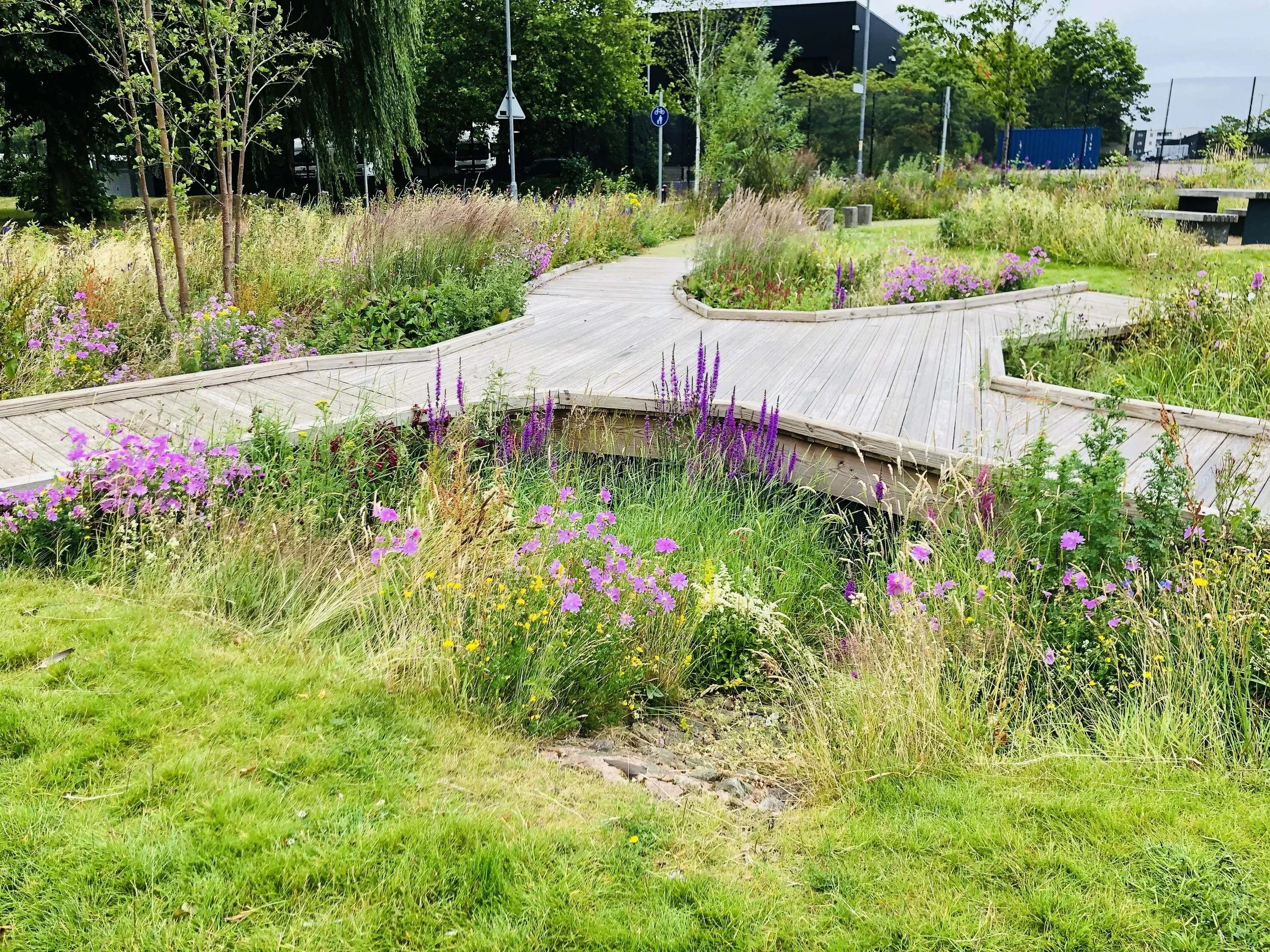 Sustainable drainage systems (SuDS)